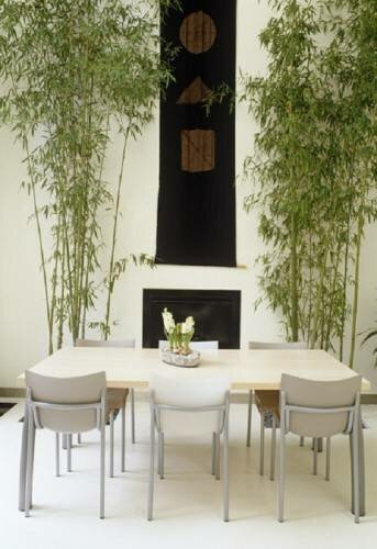Современный белый Азии Столовая с Indoor Decoration Бамбук